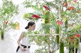 【開催レポート】杉山歩個展「Breatheborn」7月10日まで開催!オープニングイベントでいけばなライブパフォーマンスを披露