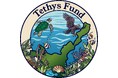 ＜助成先決定＞第2回「Tethys 基⾦〜⽯垣島・海の教育事業助成〜」の助成先発表
