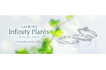 ＜2025秋 新作セットリング＞永遠を繋ぐ輝き「Infinity Plants（インフィニティ プランツ）」発売 - 銀座ダイヤモンドシライシ