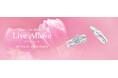 【銀座ダイヤモンドシライシ】2026春 新作ブライダルリング「Live Allove（リヴ アローヴ）」発売 ― 生きることは、愛すること ―