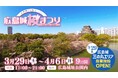 広島城桜まつり開催!