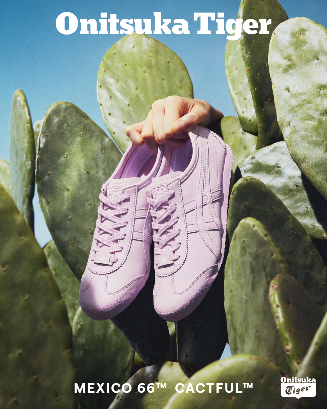 Onitsuka Tiger サボテン由来の素材を初めて採用した Mexico 66 Cactful 登場 オニツカタイガーのプレスリリース