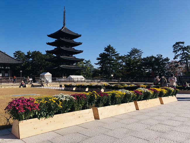 興福寺（開催イメージ）