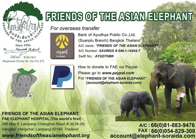 Friends of the Asian Elephant