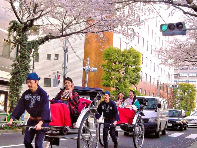 桜並木を走る人力車 桜並木を走る人力車