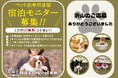 愛犬と一緒に、安心して眠れる場所を──ペット同伴モニターが語る、NikkaHotel東郷店という選択