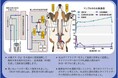 透析患者のQOL 向上に新たな光、副作用を抑える革新的な「高濃度水素水透析システム」を開発