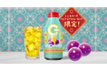ドン・キホーテ、アピタ、ピアゴ、ユーストア限定!台湾ティーエードテイストエナジー「ZONe ENERGY PASSION SPARKLE」新登場!