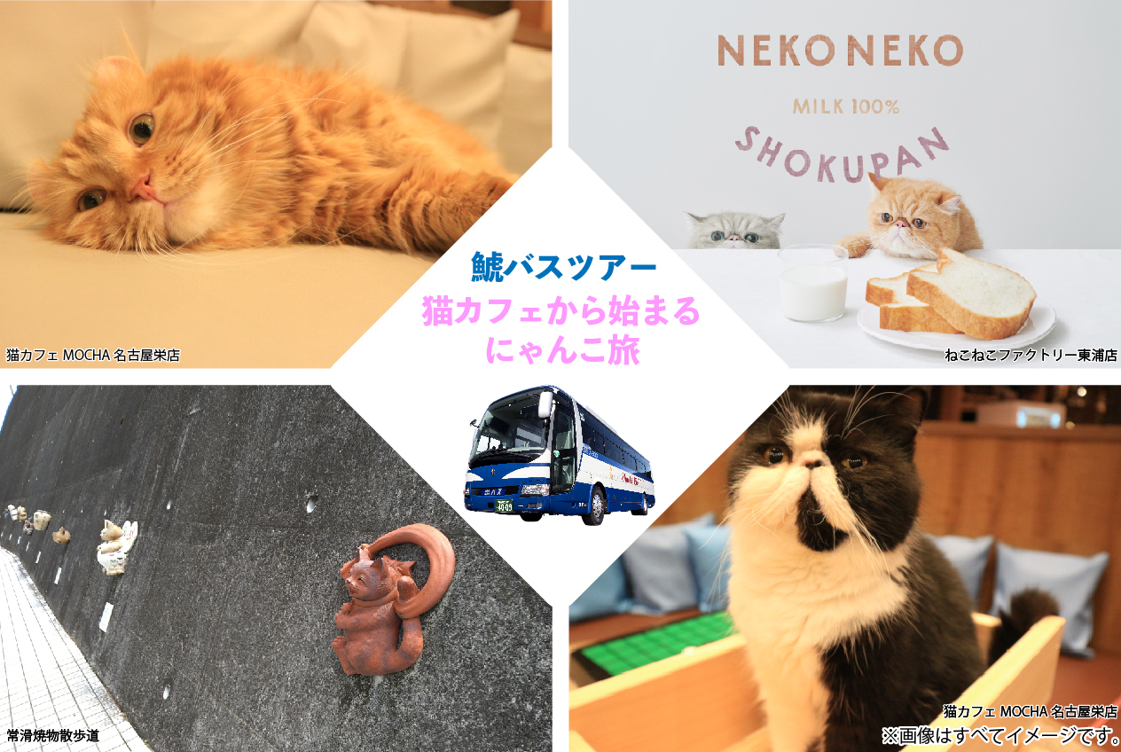 新ツアー企画 ねこカフェから始まる にゃんこ旅 2月22日 猫の日 発売開始 鯱バス株式会社のプレスリリース