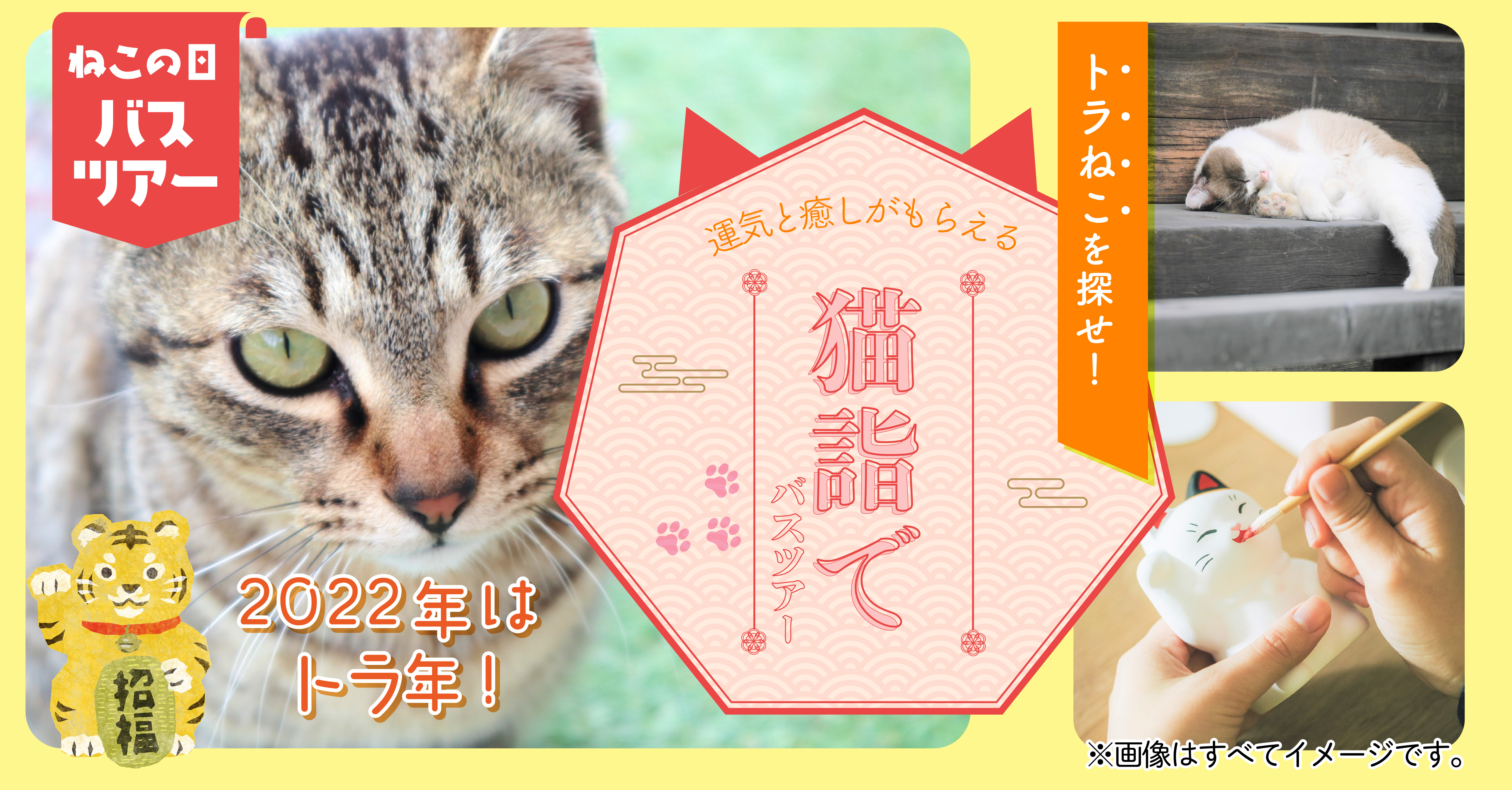 地元 ねこ旅 トラねこを探せ 運気 と 癒し がもらえる 猫詣でツアー 2月22日 猫の日 発売開始 鯱バス株式会社のプレスリリース