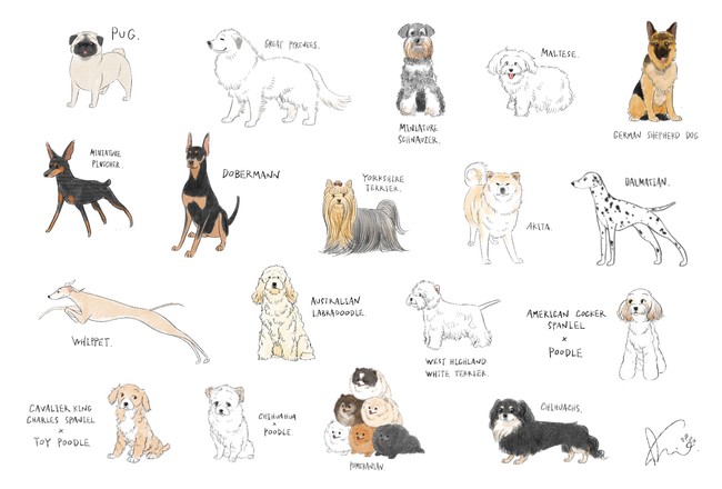犬好き 猫好きの方 必見 人気ペットイラストレーター Sakioデザイン たくさんのゆる犬 ゆる猫が描かれた可愛いくて癒される マスクと陶磁器を展開 Octavo株式会社のプレスリリース