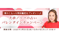 恋愛占い【突然ですが占ってもいいですか】大串ノリコが占う、あなたの恋愛運と恋運命。公式サイトにて、愛のこもった限定占いがもらえる「バレンタインキャンペーン」を開催中