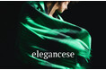 【elegancese(エレガンセーゼ)】 2026Autumn&Winter Collection"Earth in Motion"自然が生み出す、しなやかな力強さ。