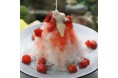 果実そのものを味わう。"果実感100％"の贅沢蜜が誕生。豊橋・豊川産フルーツを使用した『お亀堂のかき氷蜜』3種類を新発売