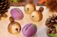 どんぐりを抱えた「りす」と、本物そっくりの「あけび」を練り切りに紫の皮をぱっくり開けば、黒胡麻で表現した「あけびの種」