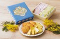 【3月8日はミモザの日】福岡・長崎の洋菓子店『赤い風船』より満開のミモザを描いたスプリングアソートを期間限定で発売!