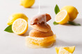 ≪ しゃり、ふわっ食感！ ≫ 【BUTTER&bee(バター&ビー)】より、爽やかなグラサージュを纏った『ハニーレモンマドレーヌ』を5月1日（金）期間限定で新発売！