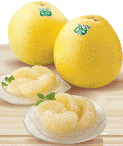 熊本 晩白柚を香港に向けて輸出 １月２４日 木 からイオン香港全店でフェア開催 １月１１日 金 産地 熊本県八代市で出発式を開催 イオン株式会社のプレスリリース