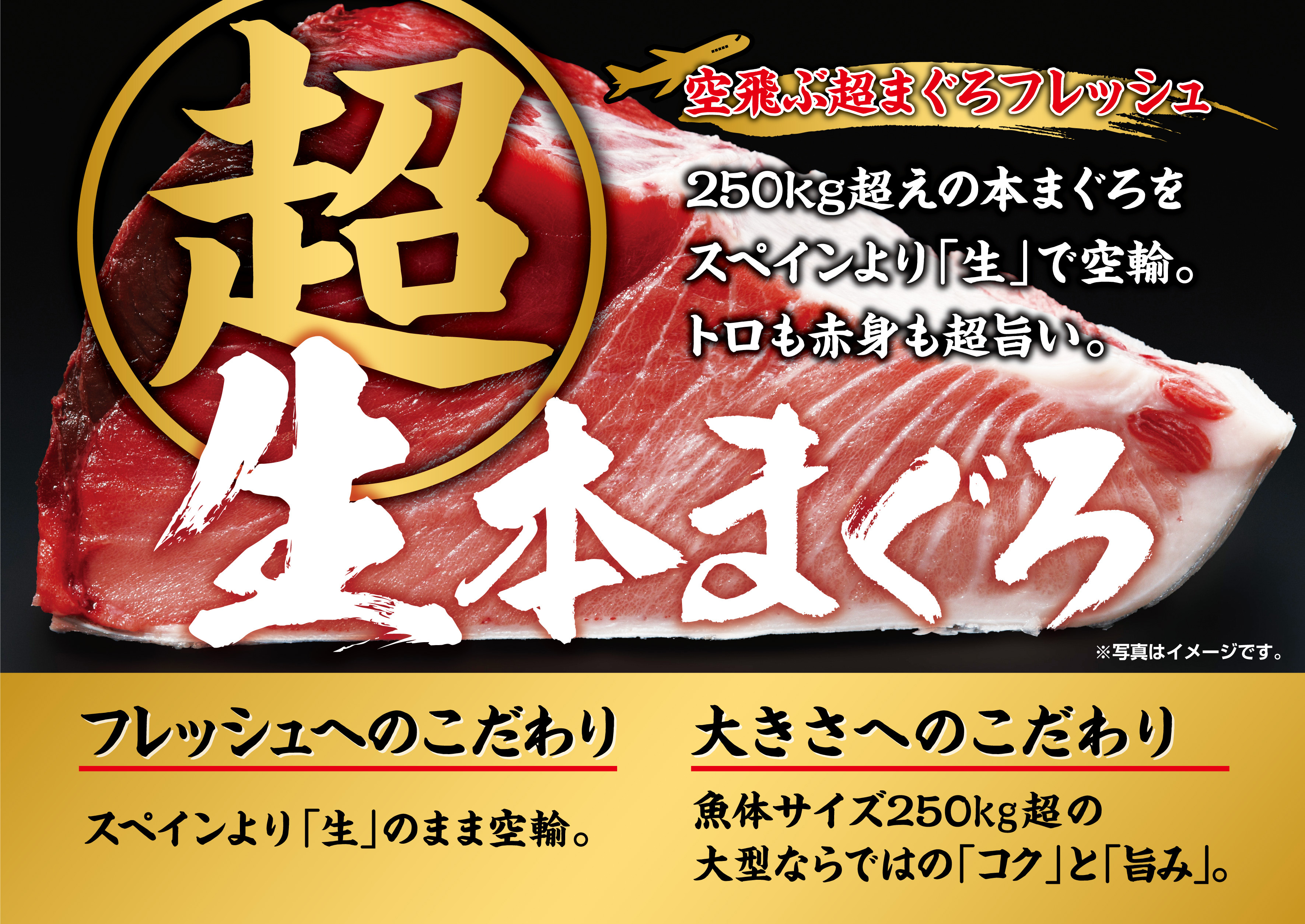 イオンリテール 世界最大の養殖地より空輸した国内流通約１ の希少な 生 本まぐろ 空飛ぶ スペイン産生本まぐろ 大型サイズならではのコクと肉質の良さが特長 イオン株式会社のプレスリリース