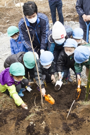 過去の植樹の様子