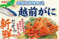 ブラックフライデー特別企画 今が旬!「越前がに」を北陸新幹線で即日配送して販売!