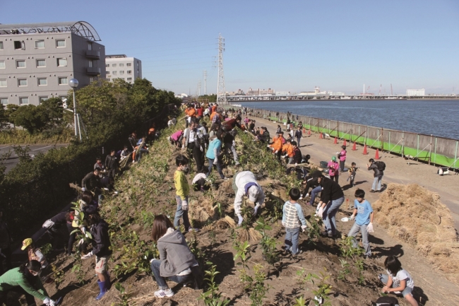 ２０１４年千葉県浦安市植樹（イオン環境財団）