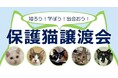 7月12日(土)、新宿NPO協働推進センターにて、新宿区とイオンペットの合同イベント、「知ろう!学ぼう!出会おう!保護猫譲渡会」を共催