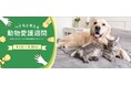 「ペテモと考える動物愛護週間」の寄付金3,467,329円を贈呈