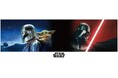 【イオン限定】「スター・ウォーズ」コレクションを５月２３日（土）発売