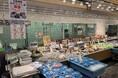 広島の夏の風物詩「小いわし漁」２０２６解禁