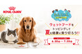 「ロイヤルカナン×ペテモ　わんにゃん食べる健康プロジェクト」ドライフードにウェットフードを組み合わせる“トッピング習慣”を提案