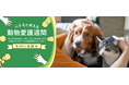 『ペテモと考える動物愛護週間2026』を実施
