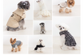 ペテモから愛犬用アパレルブランド「Amour et Pattes」誕生！