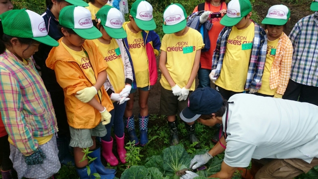「イオン チアーズクラブ」の子どもたちによる農作物収穫体験（イメージ）