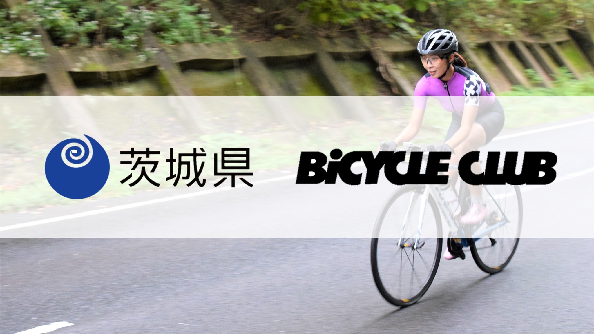 D75101 25 302f8d13f4cac244d7f1 0