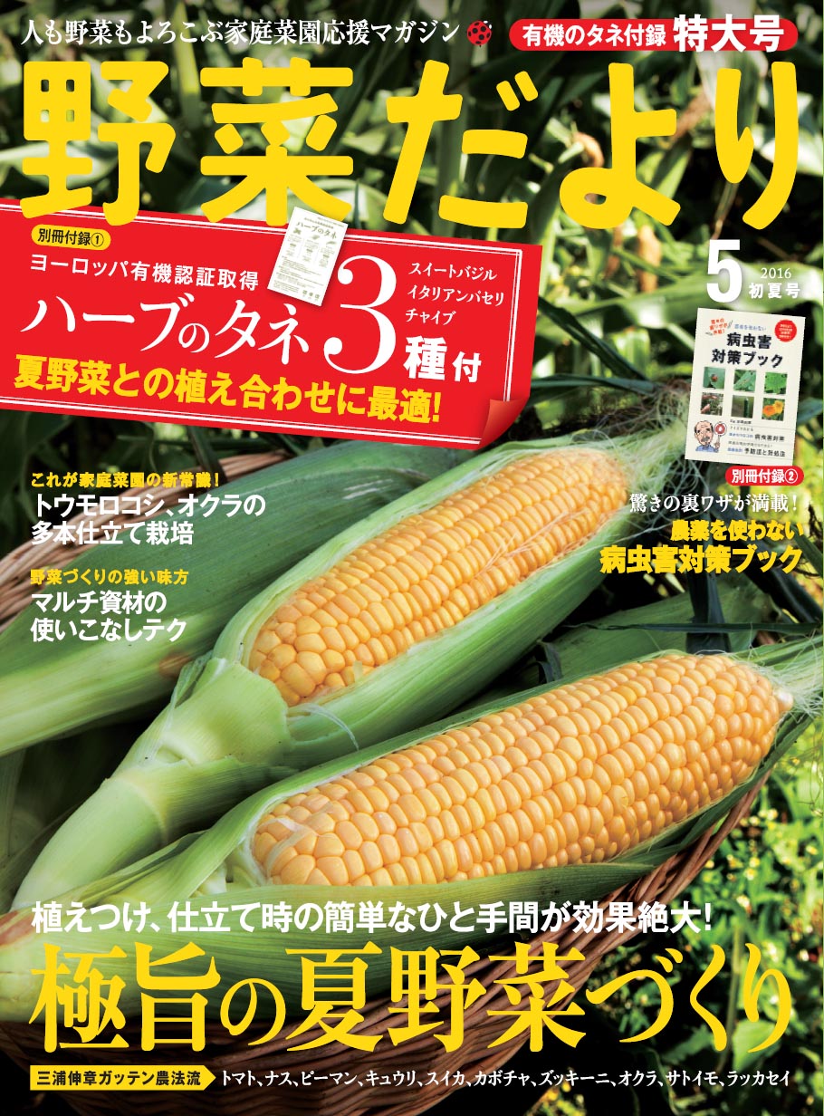 家庭菜園誌『野菜だより』５月初夏号の夏野菜づくり特大号は、夏野菜と