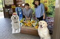 【名物犬ソラくん】JR湯平駅に等身大パネル設置(湯平駅スマイルプロジェクト)