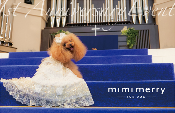 コラボ企画 Mimimerry Accu Milia Cuun 憧れのウェディング 会場でプロフォトグラファーによる写真撮影会 株式会社ピカコーポレイションのプレスリリース