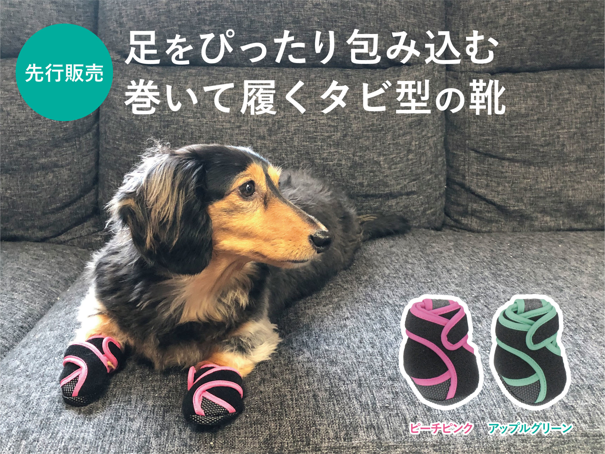 いぬたび 犬用 靴 犬用靴 - 犬用品