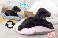 犬用の年中使える2wayリバーシブルベッド発売!