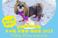 初の土曜日開催!愛犬にあった靴が見つかる犬の靴 試着会・相談会