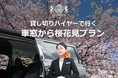 貸し切りハイヤーで行く「車窓から桜花見プラン」を販売開始