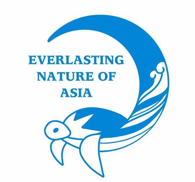 走行特典：オリジナルステッカー