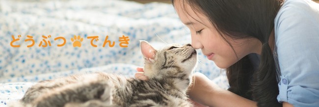 株式会社どうぶつでんきを通じて 公益社団法人日本動物福祉協会へ寄付を行いました Inest株式会社のプレスリリース