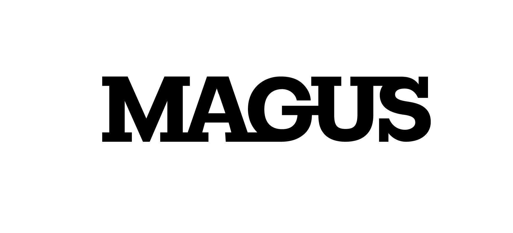 株式会社magus設立のお知らせ 株式会社magusのプレスリリース