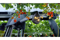 Oishii Farm、自動収穫をリードするスタートアップ Tortuga AgTech の技術関連資産を買収 〜戦略的買収により、サステナブルな農業実現に向けた自動化を加速〜
