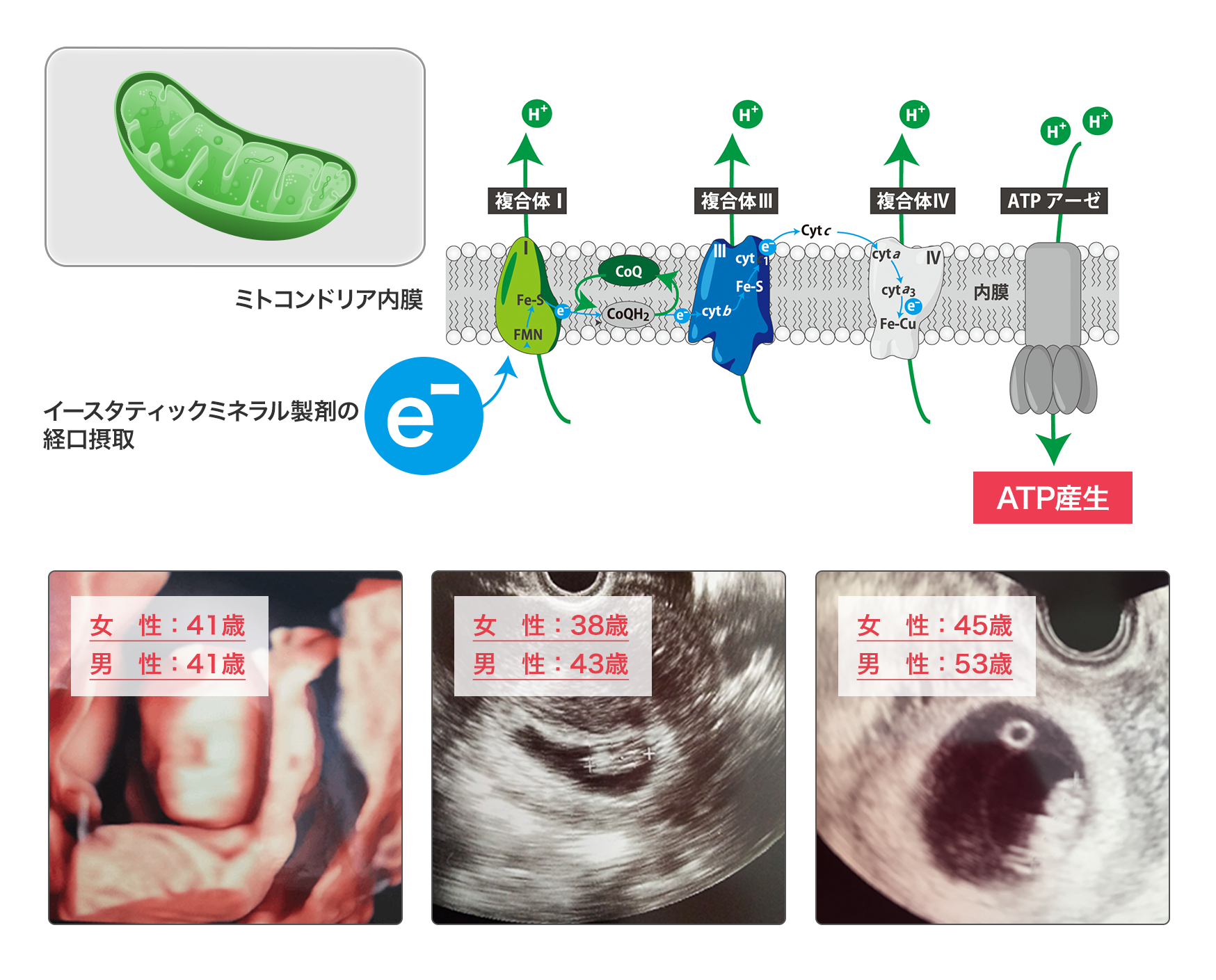 Jaas 日本アンチエイジング外科学会は 株式会社未来ヘルスケア社との間でミトンドリア作動性イ オン化ミネラル製剤 一般名 イースタティックミネラル製剤 等に関する共同研 究コラボレーションを発表 一般社団法人jaas日本アンチエイジング外科学会のプレスリリース