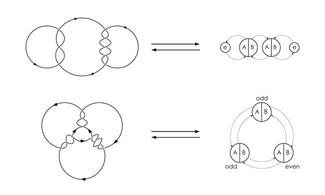 複雑な結び目を簡易化する山田海音の計算方法