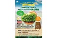 茨城県産レタスを使用した限定商品を県内の店舗で販売『Lucky MOS Festa ~モスの産直レタス祭り~』茨城県にて開催