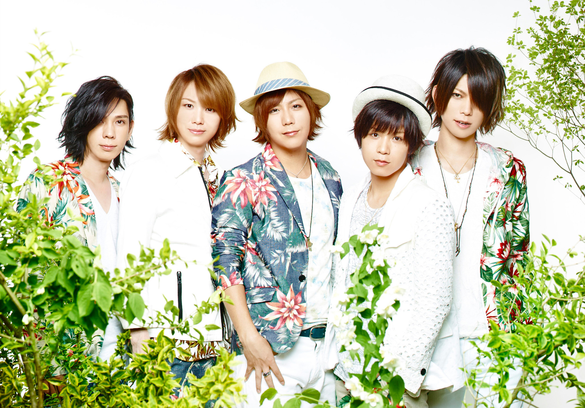 みーちゃん 歌い手 ニコ動 ニコニコ動画